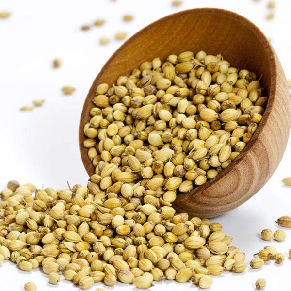 Hạt Ngò Coriander Seed Whole 500Gr