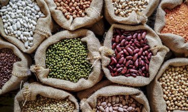 premium_photo-1726729279950-224b83ae7a75 copy premium_photo-1726729279950-224b83ae7a75 copy