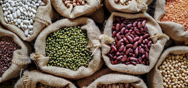 premium_photo-1726729279950-224b83ae7a75 copy